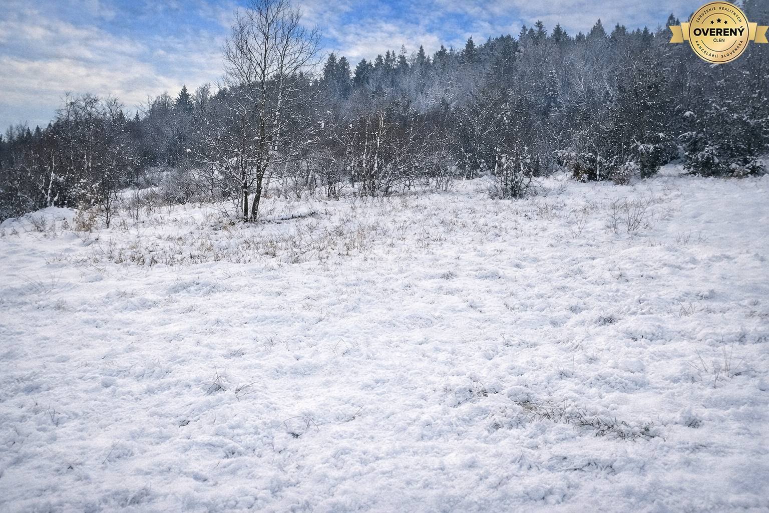 Sale Recreational land, Recreational land, Zádedová, Čadca, Slovakia