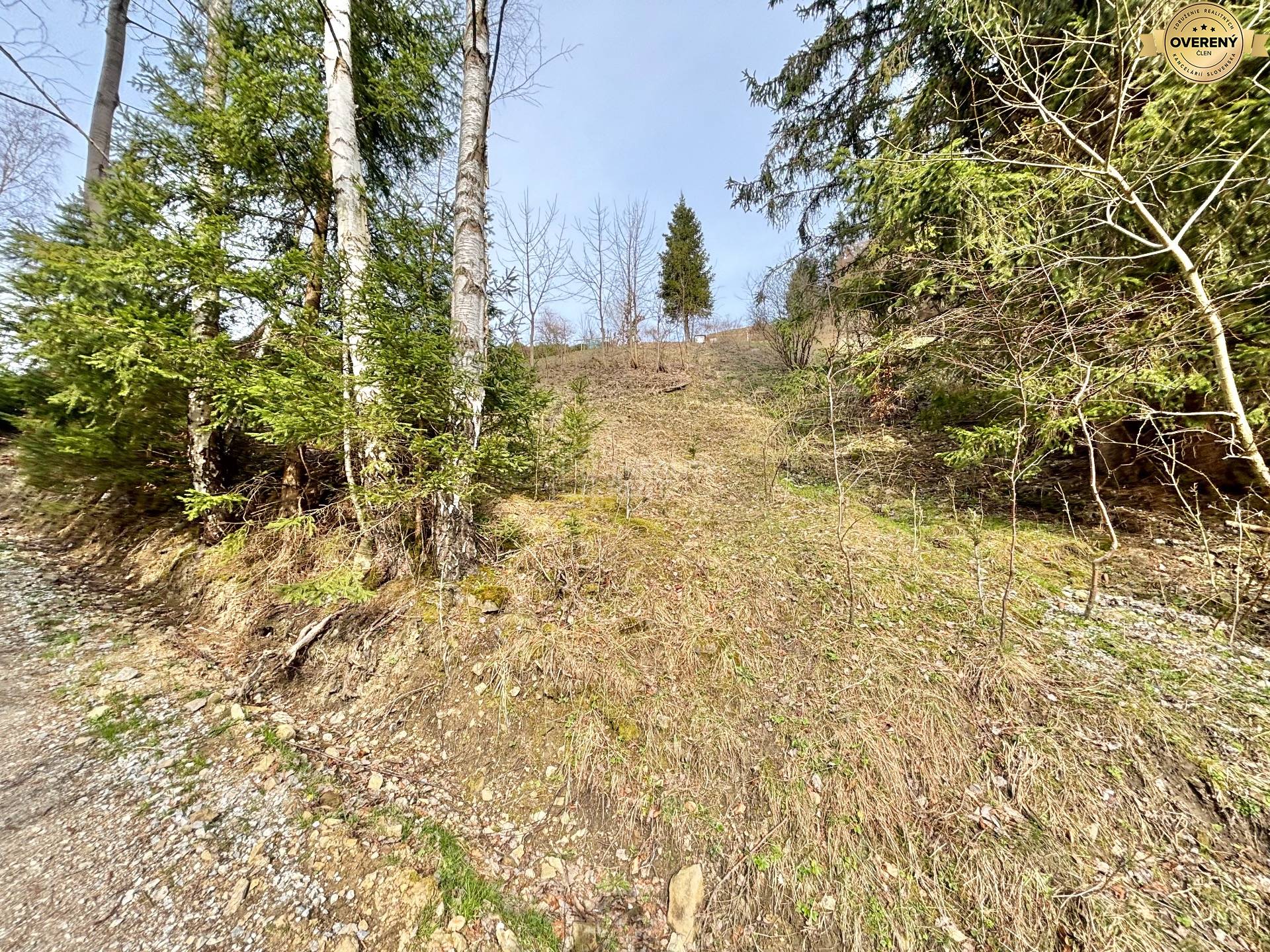 Sale Recreational land, Recreational land, Lalíky, Čadca, Slovakia