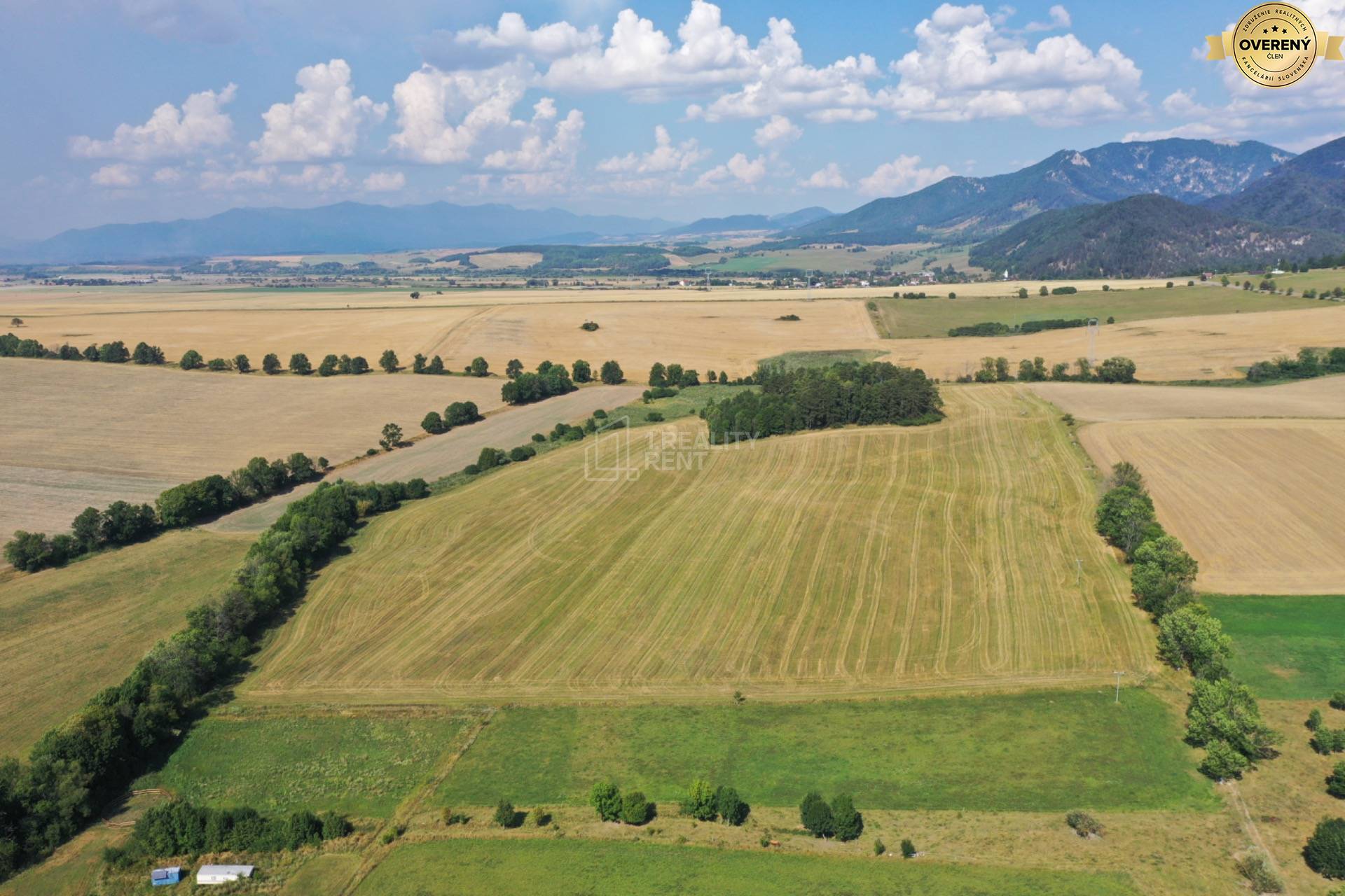 Sale Agrarian and forest land, Agrarian and forest land, Mošovce, Turč