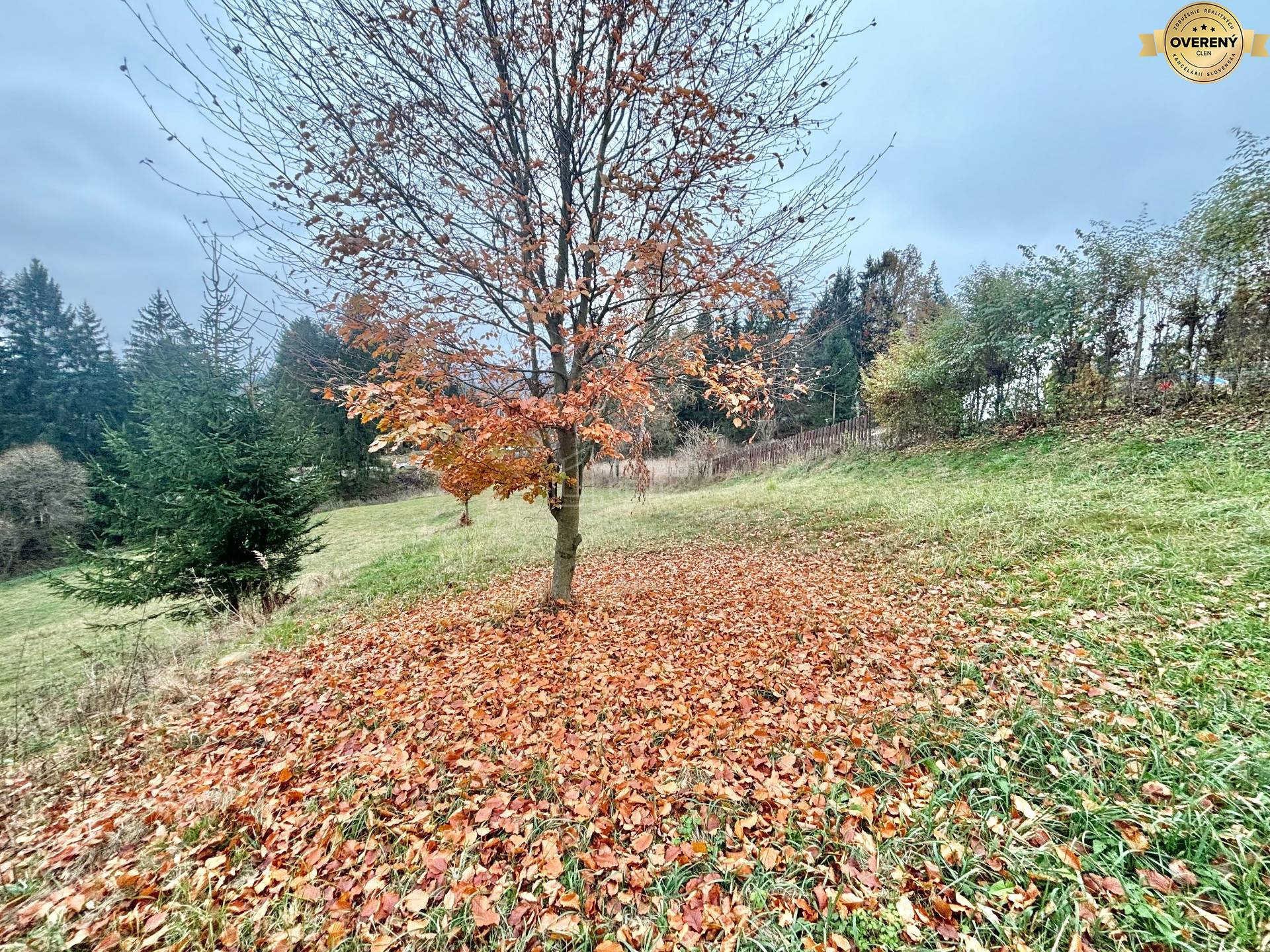 Sale Land – for living, Land – for living, Priečnica, Čadca, Slovakia