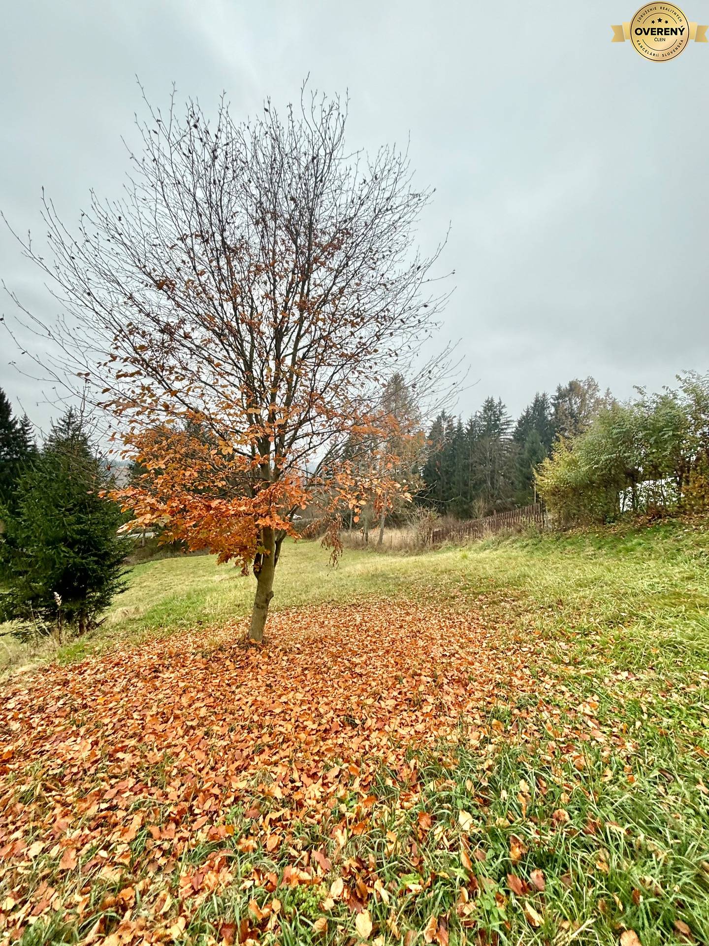 Sale Land – for living, Land – for living, Priečnica, Čadca, Slovakia