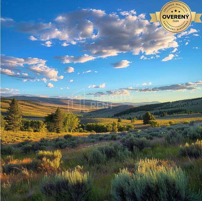 Sale Agrarian and forest land, Agrarian and forest land, Turany, Marti