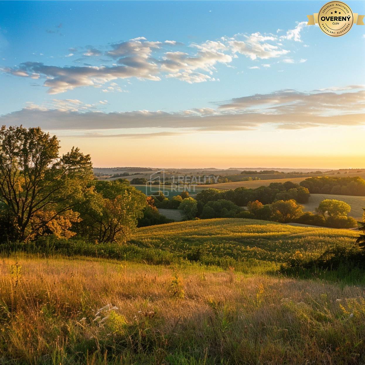 Sale Agrarian and forest land, Agrarian and forest land, Turany, Marti