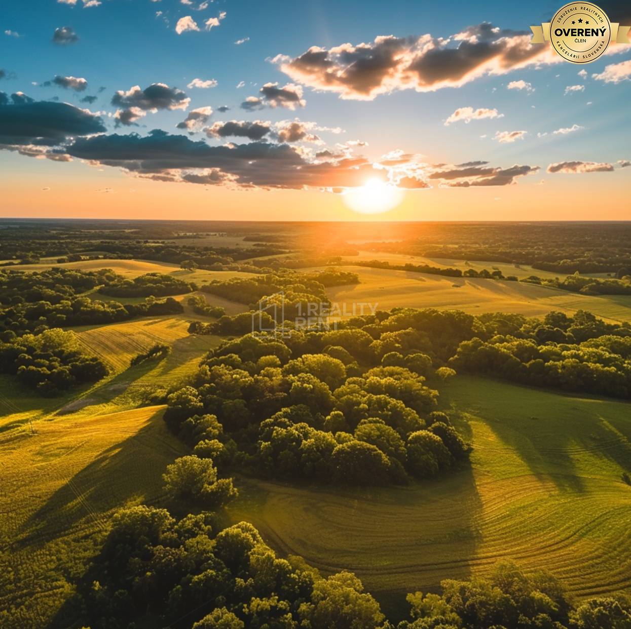 Sale Agrarian and forest land, Agrarian and forest land, Turany, Marti