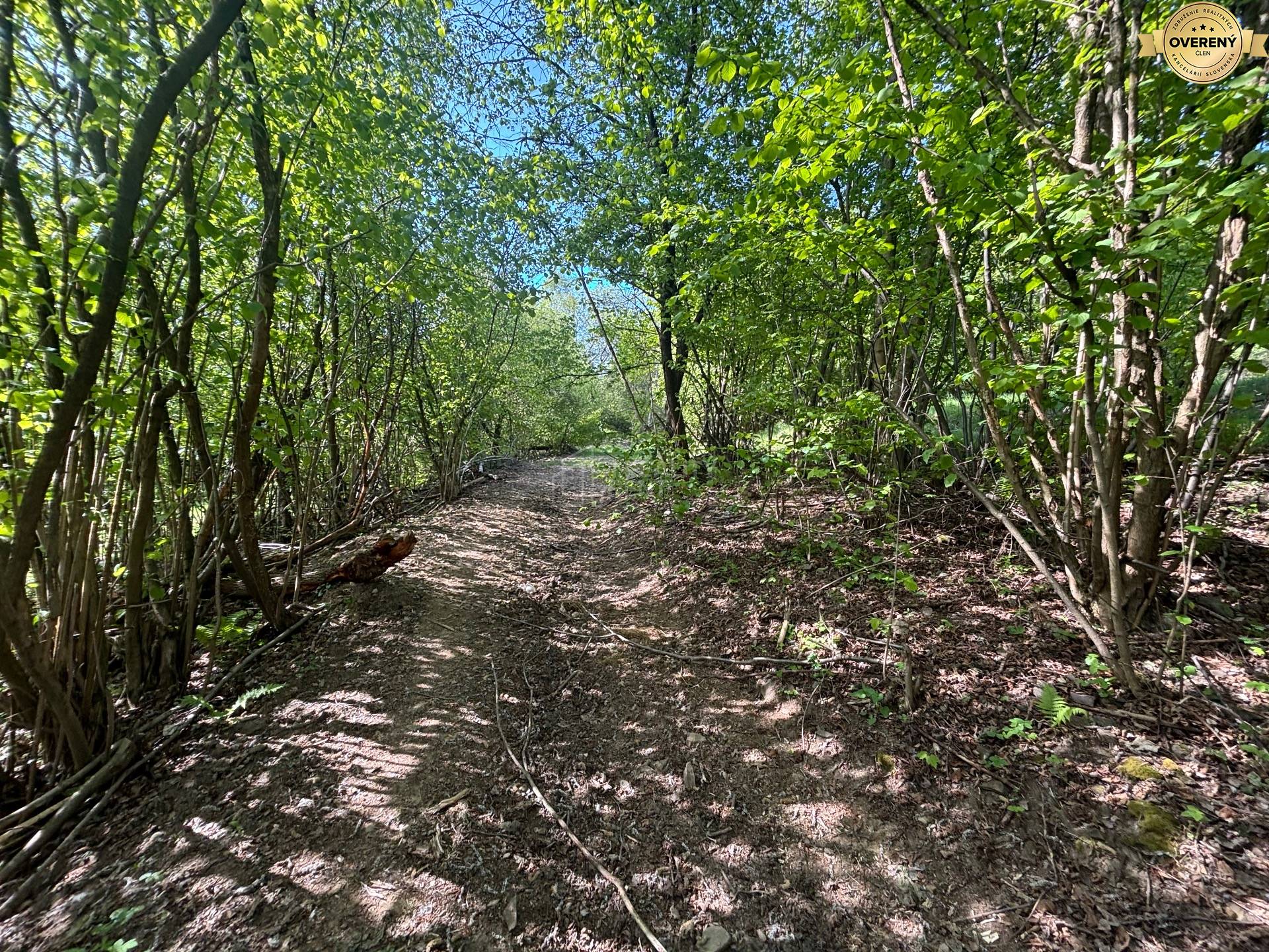 Sale Recreational land, Recreational land, Rieka, Čadca, Slovakia