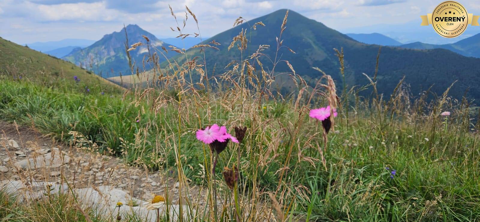 Sale Holiday apartment, Holiday apartment, Vrátna, Žilina, Slovakia