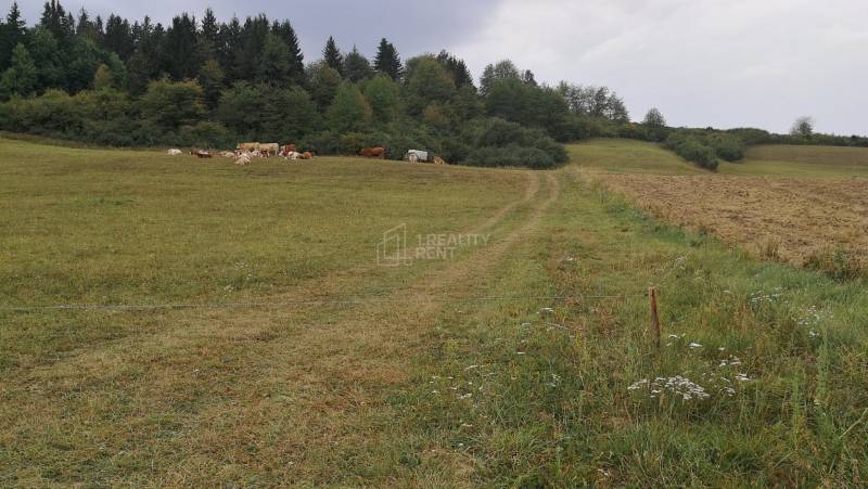 Recreational land, Sale, Žilina, Slovakia