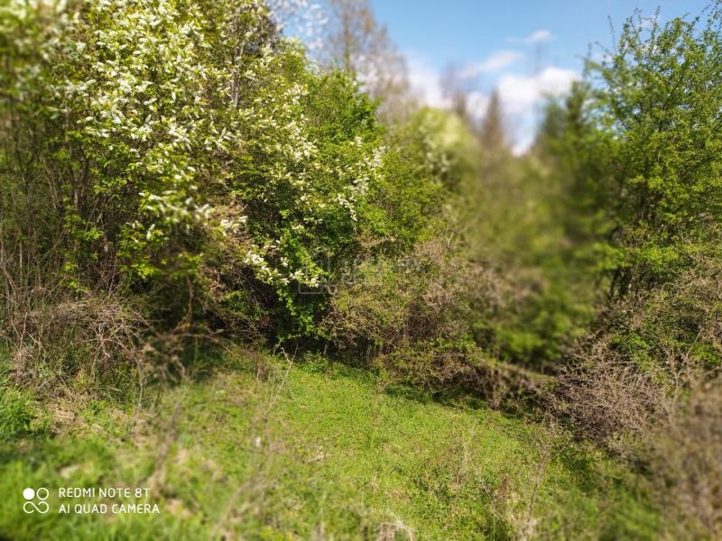 Recreational land, Turkovská cesta, Sale, Čadca, Slovakia