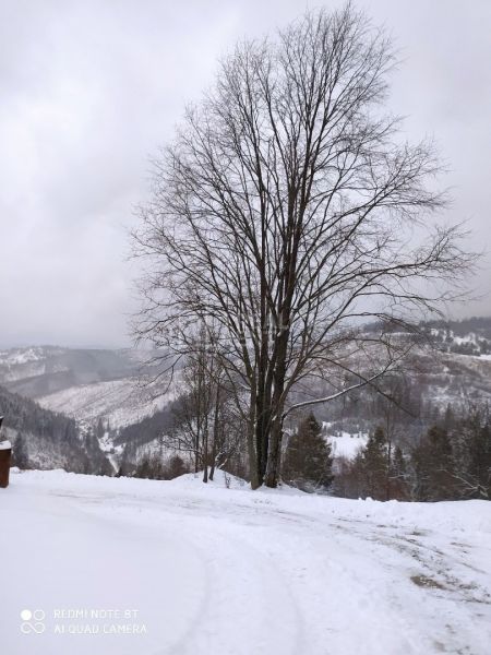 Recreational land, U Haladeji, Sale, Čadca, Slovakia