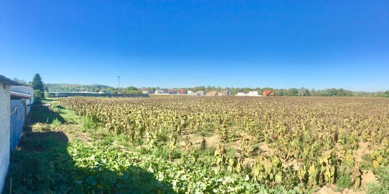 Land – for living, Sale, Piešťany, Slovakia