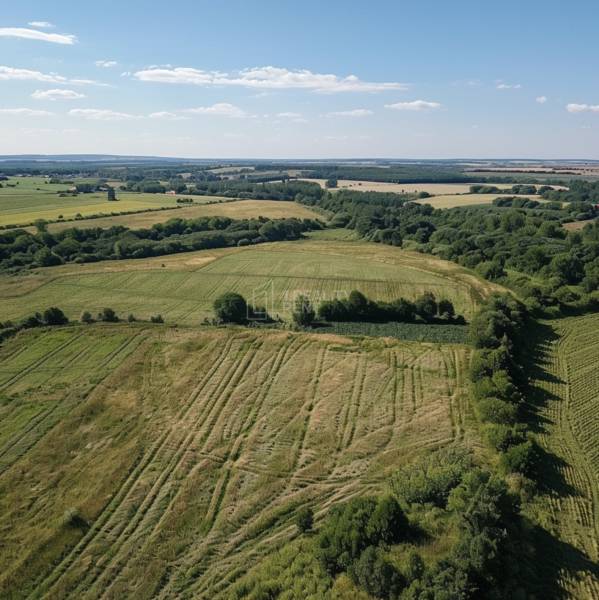 Sale Agrarian and forest land, Agrarian and forest land, Turzovka, Čad