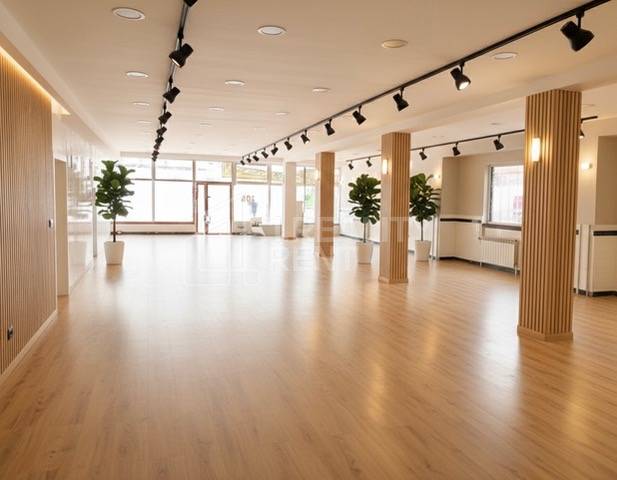 Rent Commercial premises, Commercial premises, Bottova, Žilina, Slovak