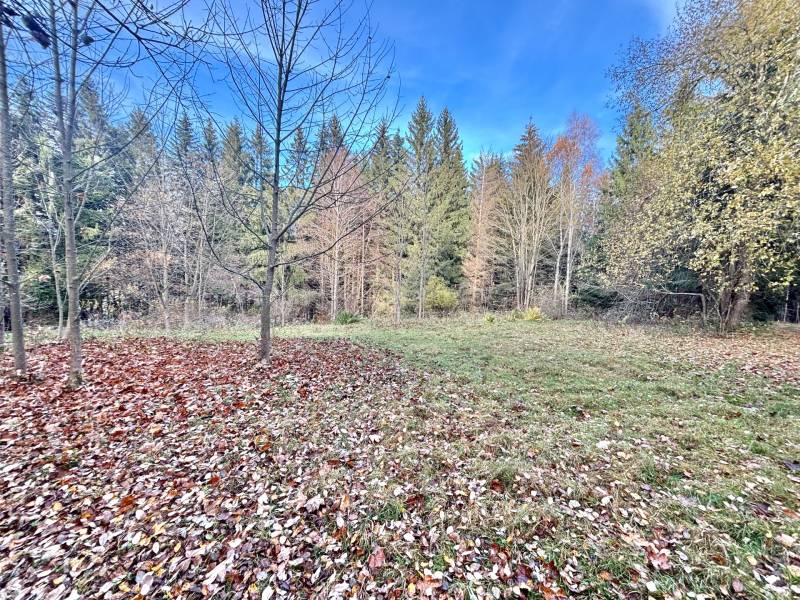 Sale Recreational land, Recreational land, Blgošovci, Čadca, Slovakia