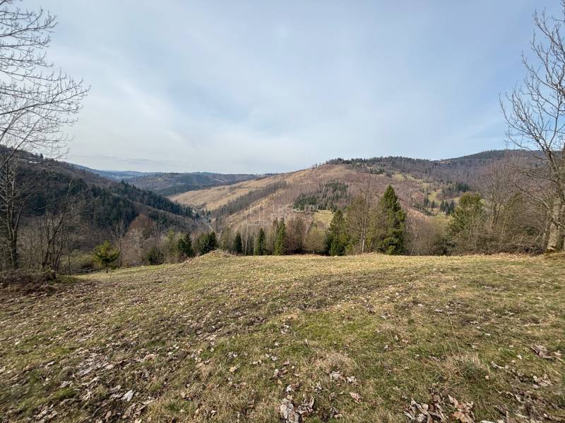 Sale Land – for living, Land – for living, Závozy, Čadca, Slovakia