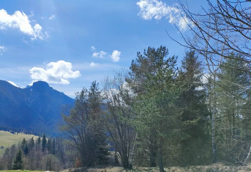 Sale Recreational land, Recreational land, Terchová, Žilina, Slovakia