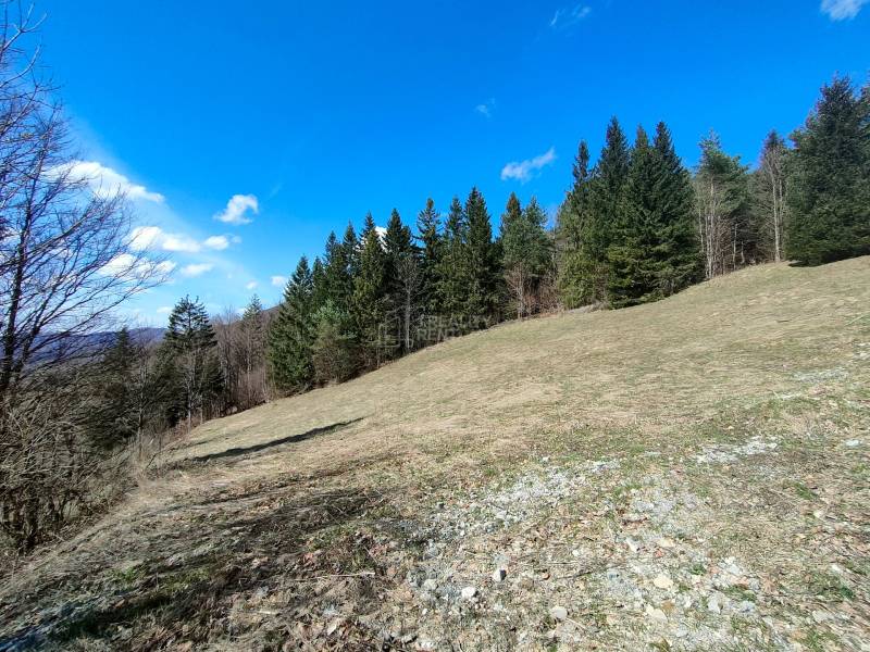 Sale Recreational land, Recreational land, Terchová, Žilina, Slovakia