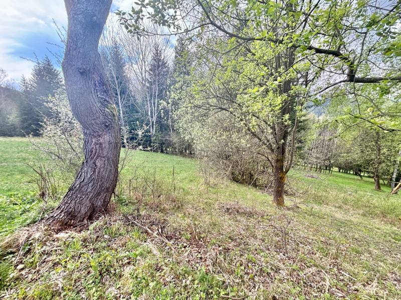 Sale Recreational land, Recreational land, Sučikovci, Čadca, Slovakia