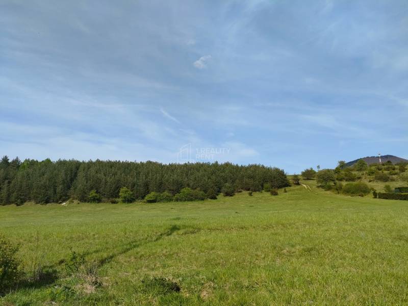 Sale Recreational land, Recreational land, Lipná, Žilina, Slovakia