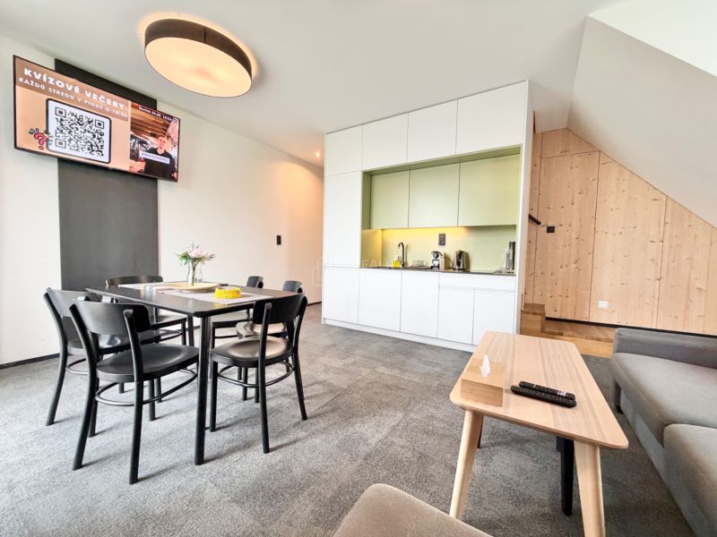 Luxurious Duplex with Private Hot Tub in Demänová Village