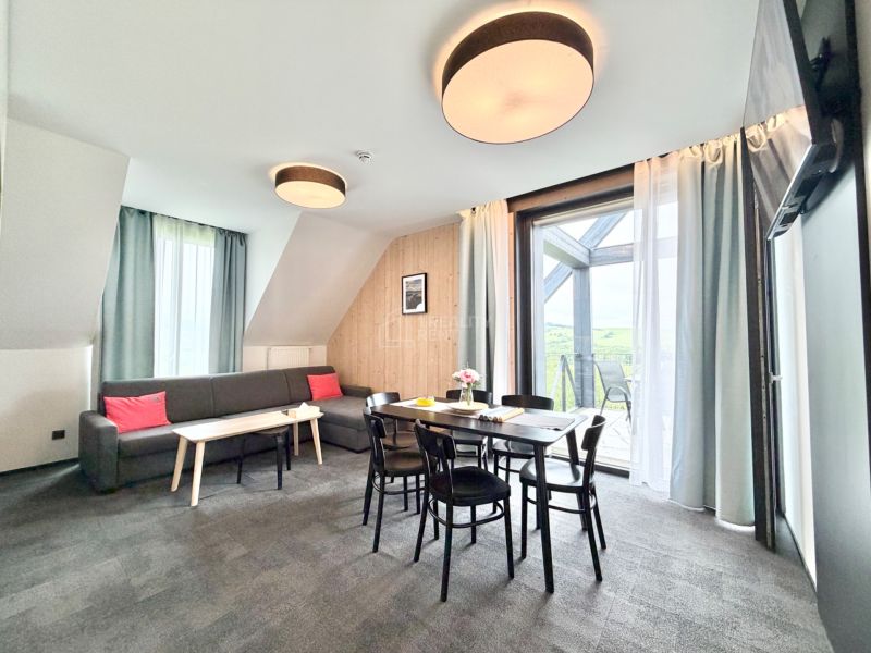 Luxurious Duplex with Private Hot Tub in Demänová Village