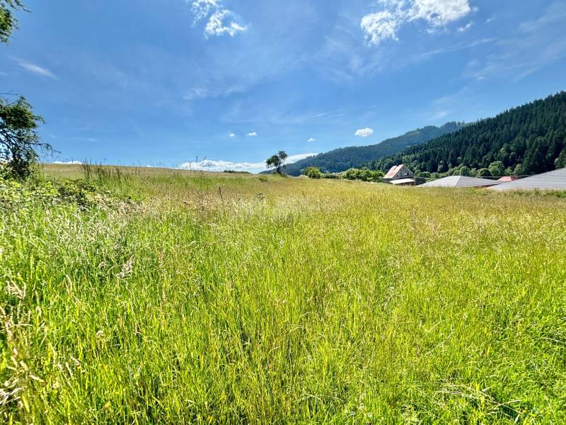 Sale Land – for living, Land – for living, Korňanská cesta, Čadca, Slo