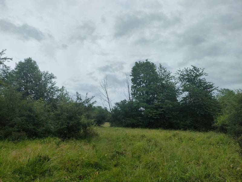 Sale Recreational land, Recreational land, Kysucké Nové Mesto, Slovaki
