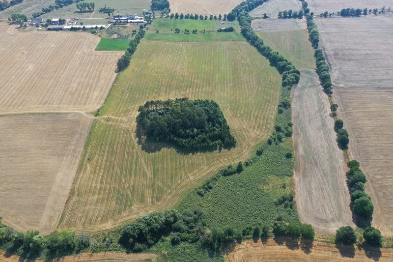 Sale Agrarian and forest land, Agrarian and forest land, Mošovce, Turč