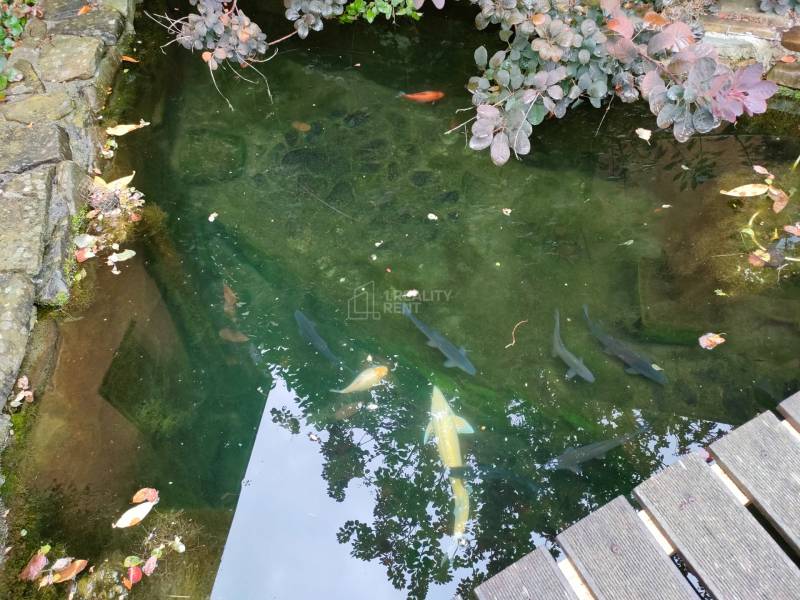 Sale Family house, Family house, Kysucké Nové Mesto, Slovakia