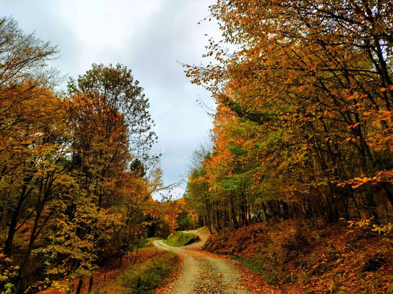 Sale Recreational land, Recreational land, Veľké Rovné, Bytča, Slovaki