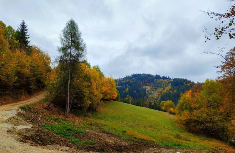 Sale Recreational land, Recreational land, Veľké Rovné, Bytča, Slovaki