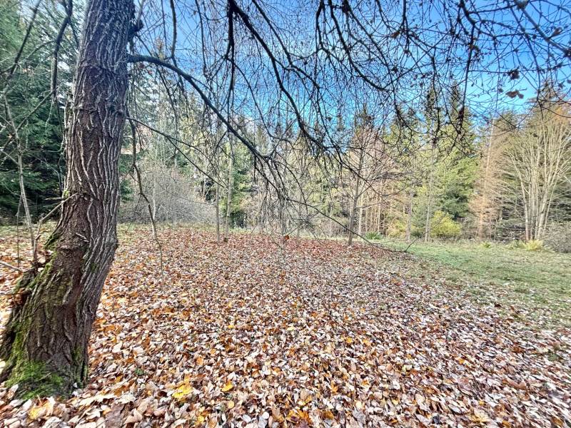 Sale Recreational land, Recreational land, Blgošovci, Čadca, Slovakia