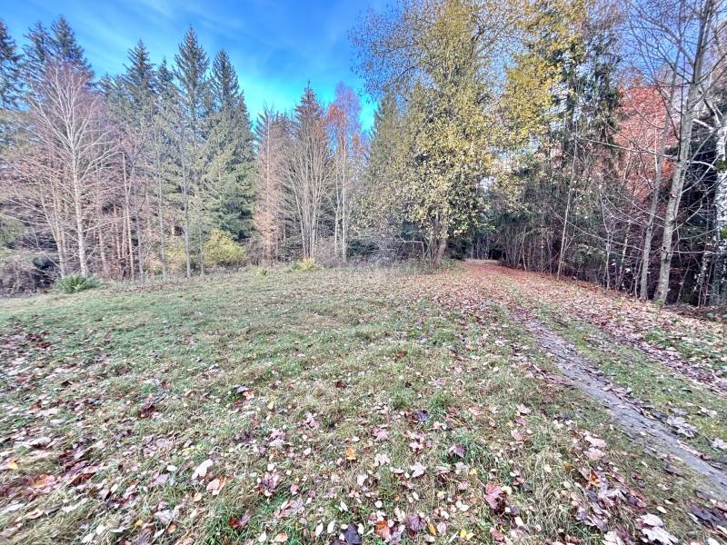 Sale Recreational land, Recreational land, Blgošovci, Čadca, Slovakia