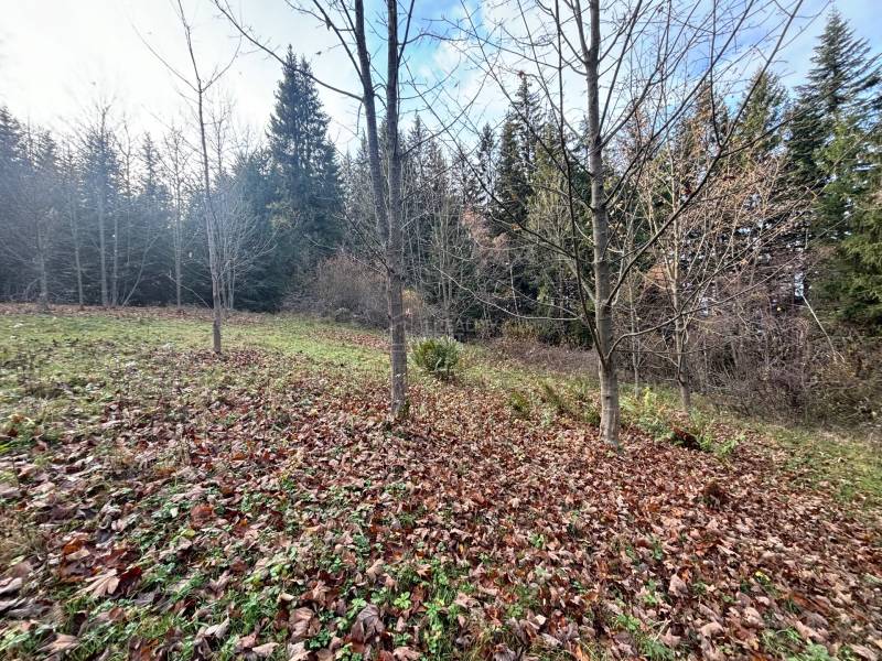 Sale Recreational land, Recreational land, Blgošovci, Čadca, Slovakia