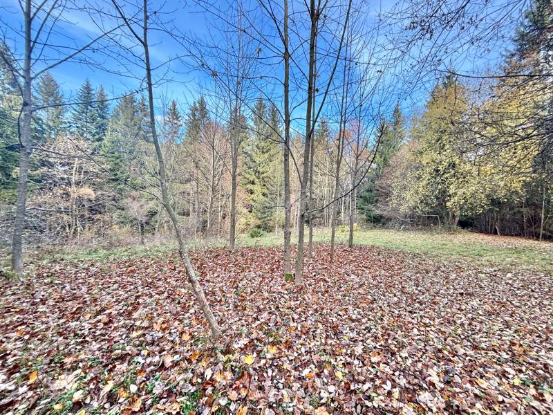 Sale Recreational land, Recreational land, Blgošovci, Čadca, Slovakia