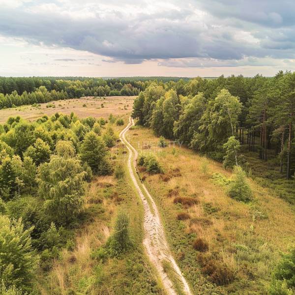 Sale Recreational land, Recreational land, Blgošovci, Čadca, Slovakia