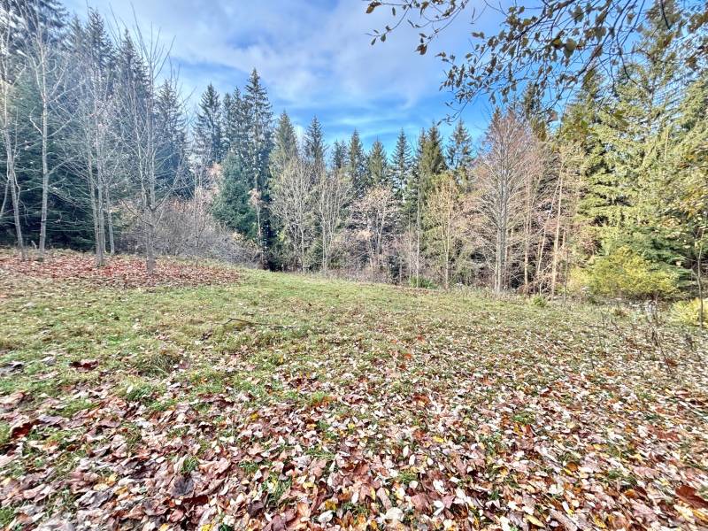 Sale Recreational land, Recreational land, Blgošovci, Čadca, Slovakia