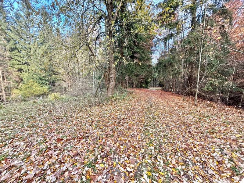 Sale Recreational land, Recreational land, Blgošovci, Čadca, Slovakia