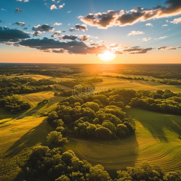 Sale Agrarian and forest land, Agrarian and forest land, Turany, Marti