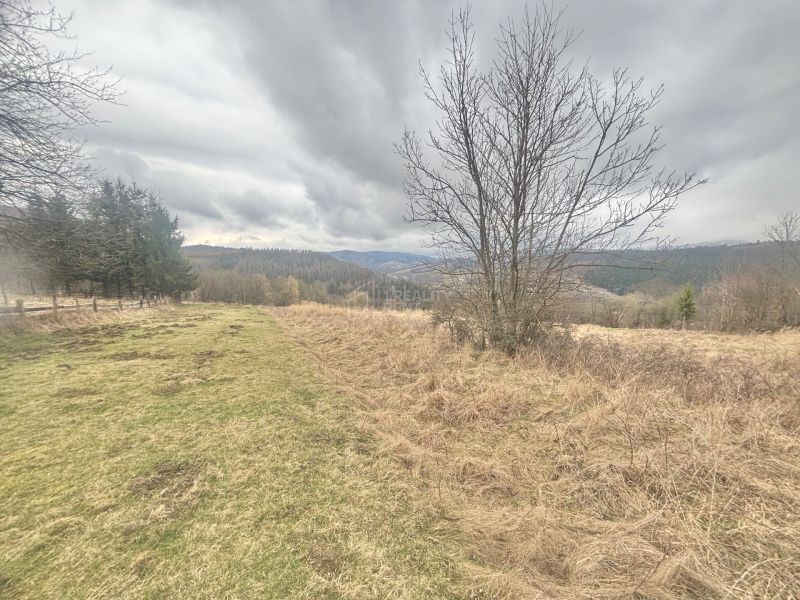 Sale Recreational land, Recreational land, Krásno nad Kysucou, Čadca, 