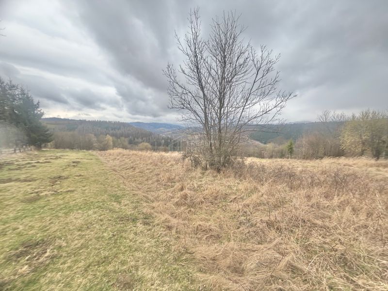 Sale Recreational land, Recreational land, Krásno nad Kysucou, Čadca, 
