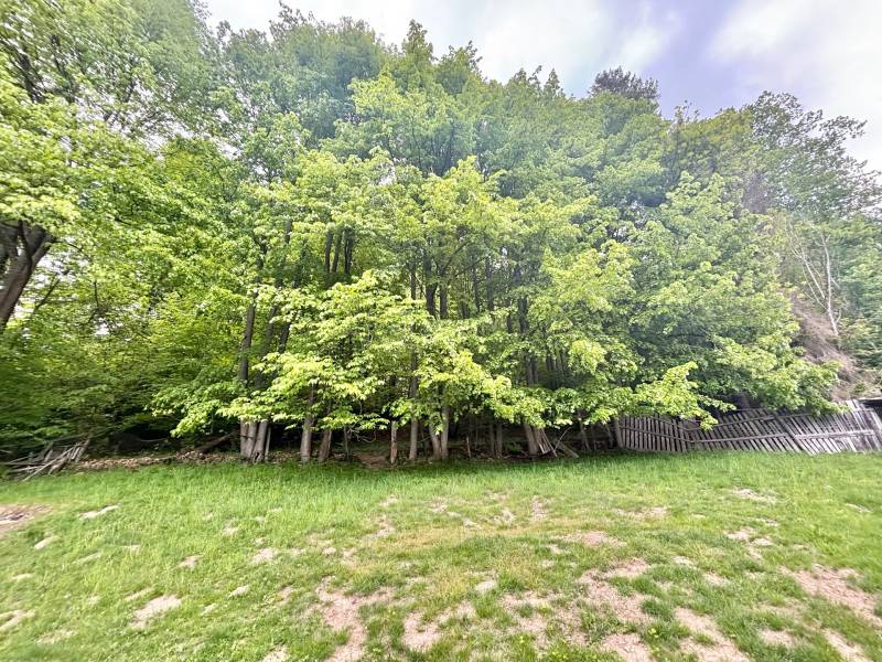 Sale Family house, Family house, U Rulcov, Čadca, Slovakia