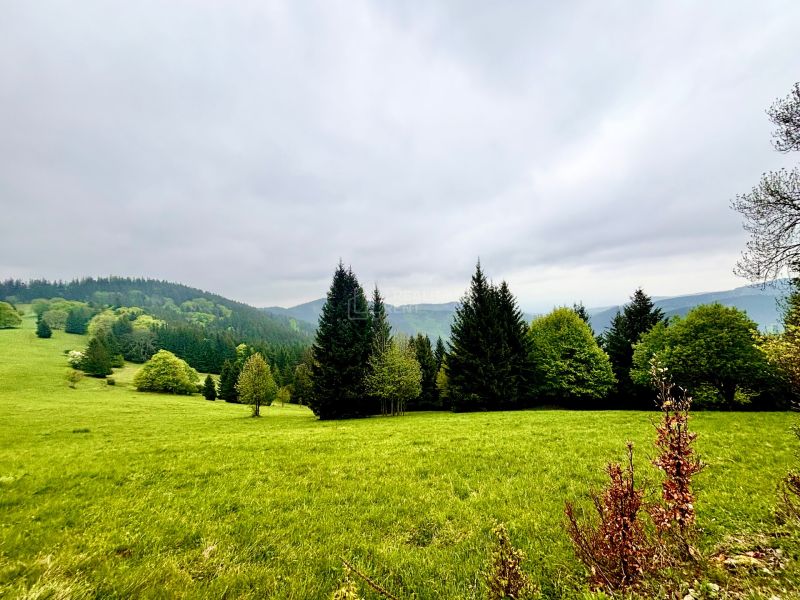 Sale Recreational land, Recreational land, Gregušovci, Čadca, Slovakia