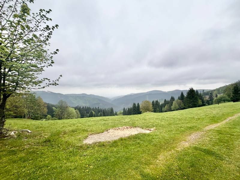 Sale Recreational land, Recreational land, Gregušovci, Čadca, Slovakia