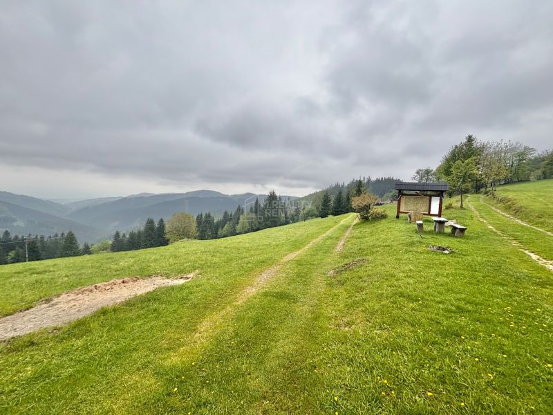 Sale Recreational land, Recreational land, Gregušovci, Čadca, Slovakia