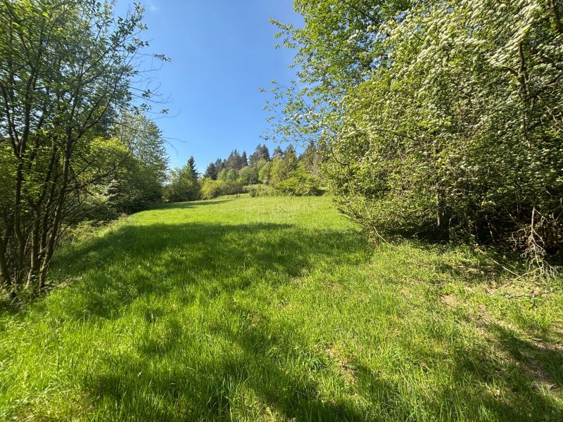Sale Recreational land, Recreational land, Rieka, Čadca, Slovakia
