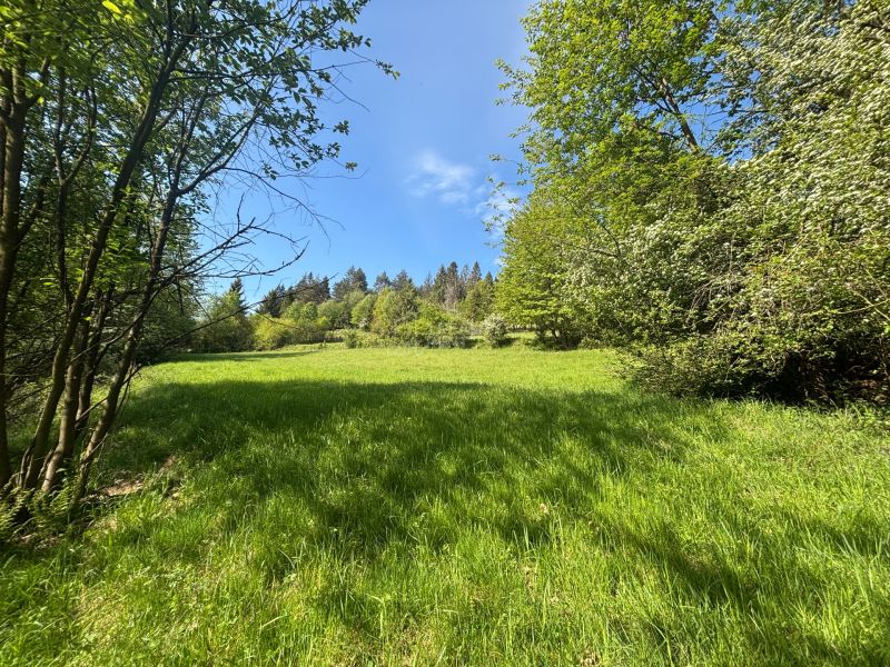 Sale Recreational land, Recreational land, Rieka, Čadca, Slovakia