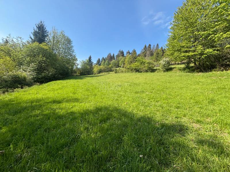 Sale Recreational land, Recreational land, Rieka, Čadca, Slovakia