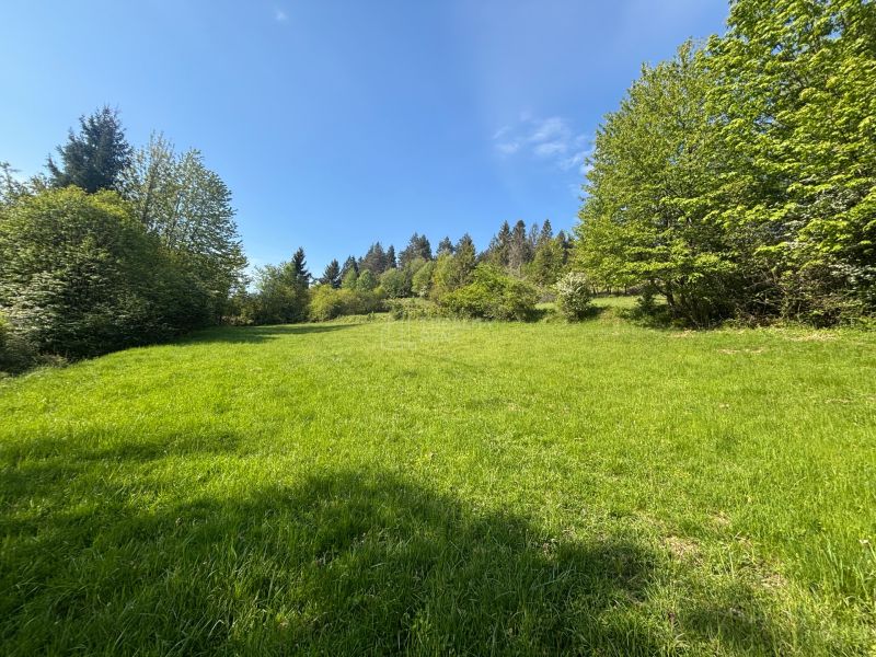 Sale Recreational land, Recreational land, Rieka, Čadca, Slovakia