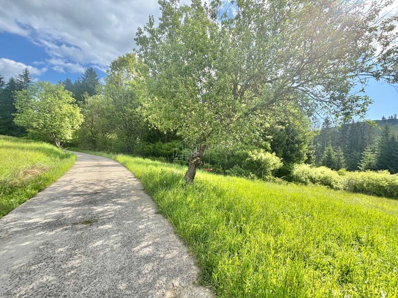 Sale Land – for living, Land – for living, Korchaň, Čadca, Slovakia