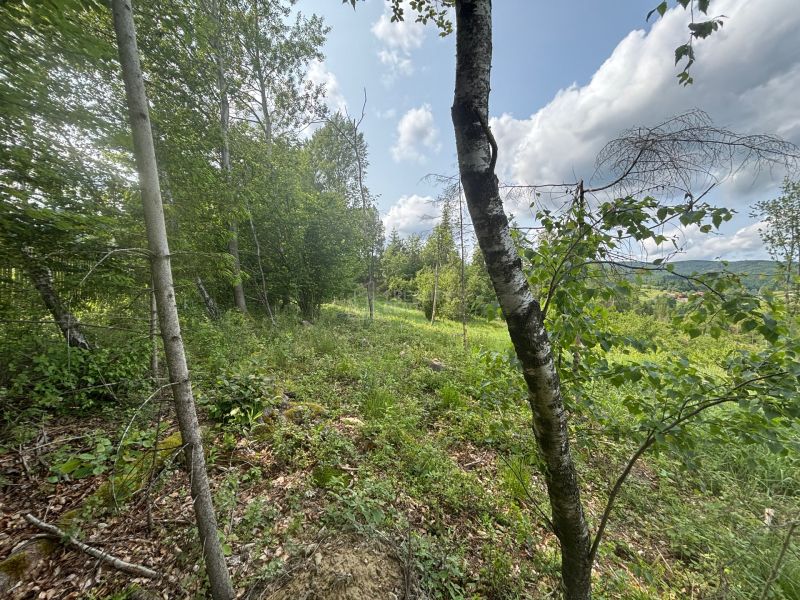 Sale Recreational land, Recreational land, Raková, Čadca, Slovakia